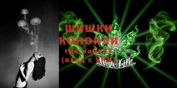 2c-b Дмитриев